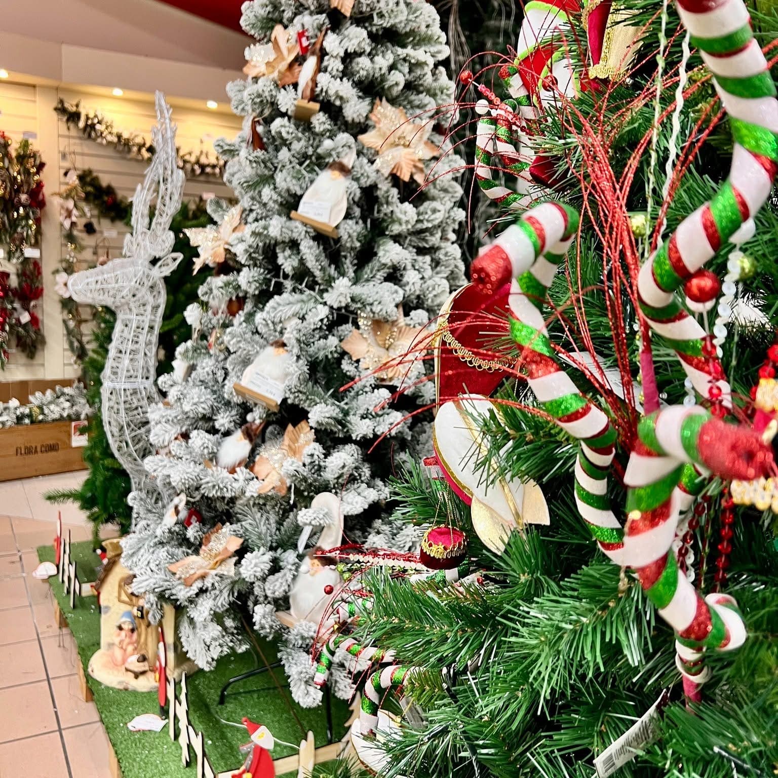 Alberi di Natale e decorazioni nel reparto di Al Pentolone ad Albignasego